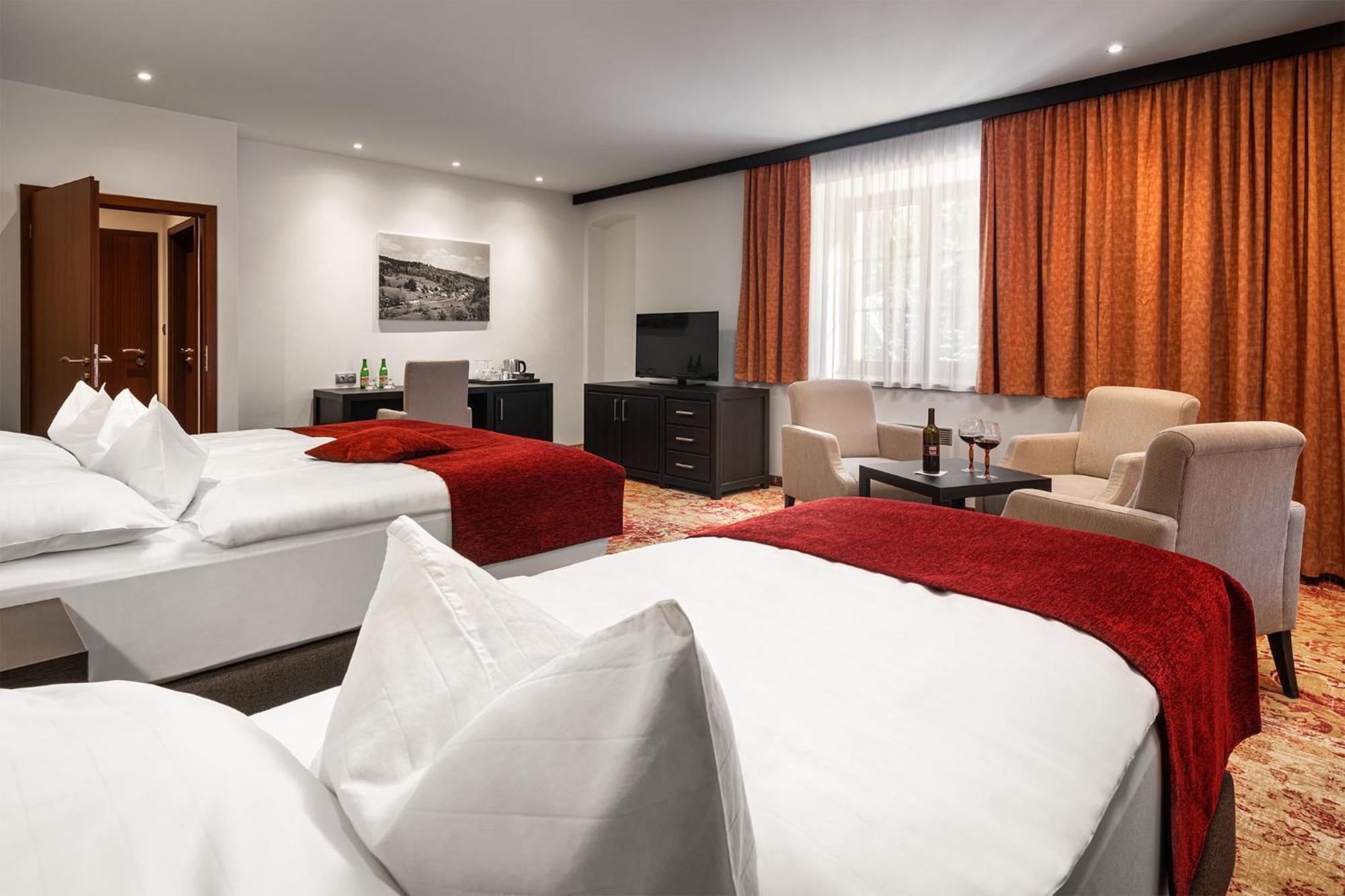 Hotel Singer Лудвиков Номер фото